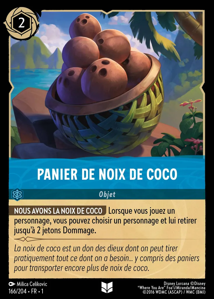 PANIER DE NOIX DE COCO
