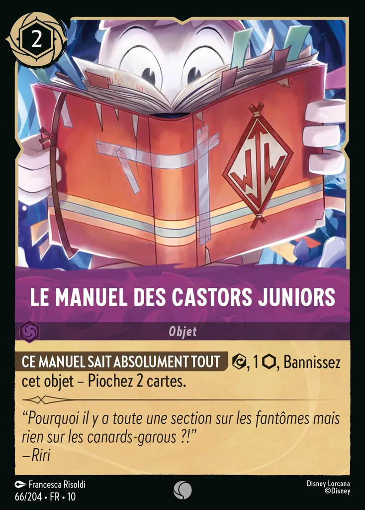 Le Manuel des Castors Juniors